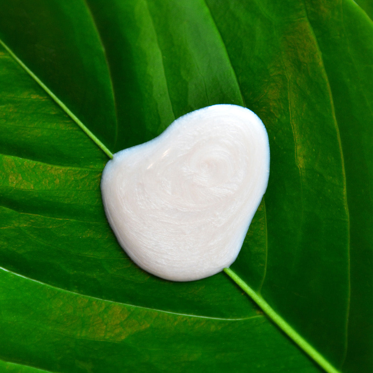 イルミネーティング モイスチャライザー – Malie Organics