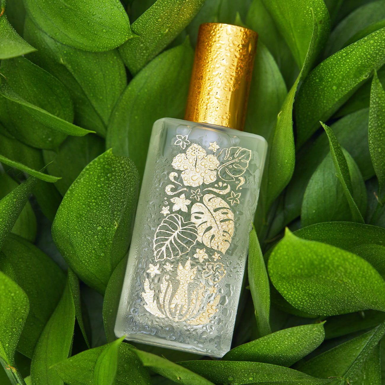アイランド アンビエンスミスト Mango Nectar – Malie Organics