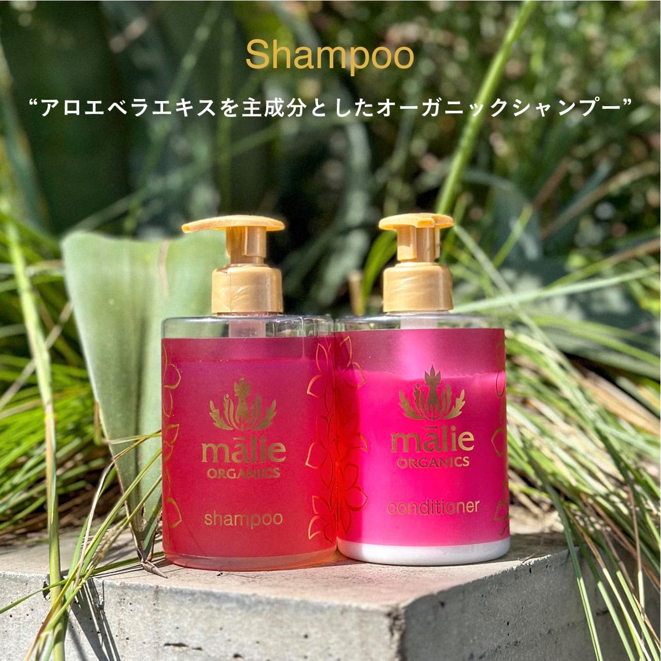 シャンプー Plumeria 414ml – Malie Organics