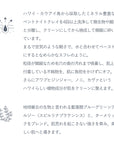 カウアイ クレイマスク
