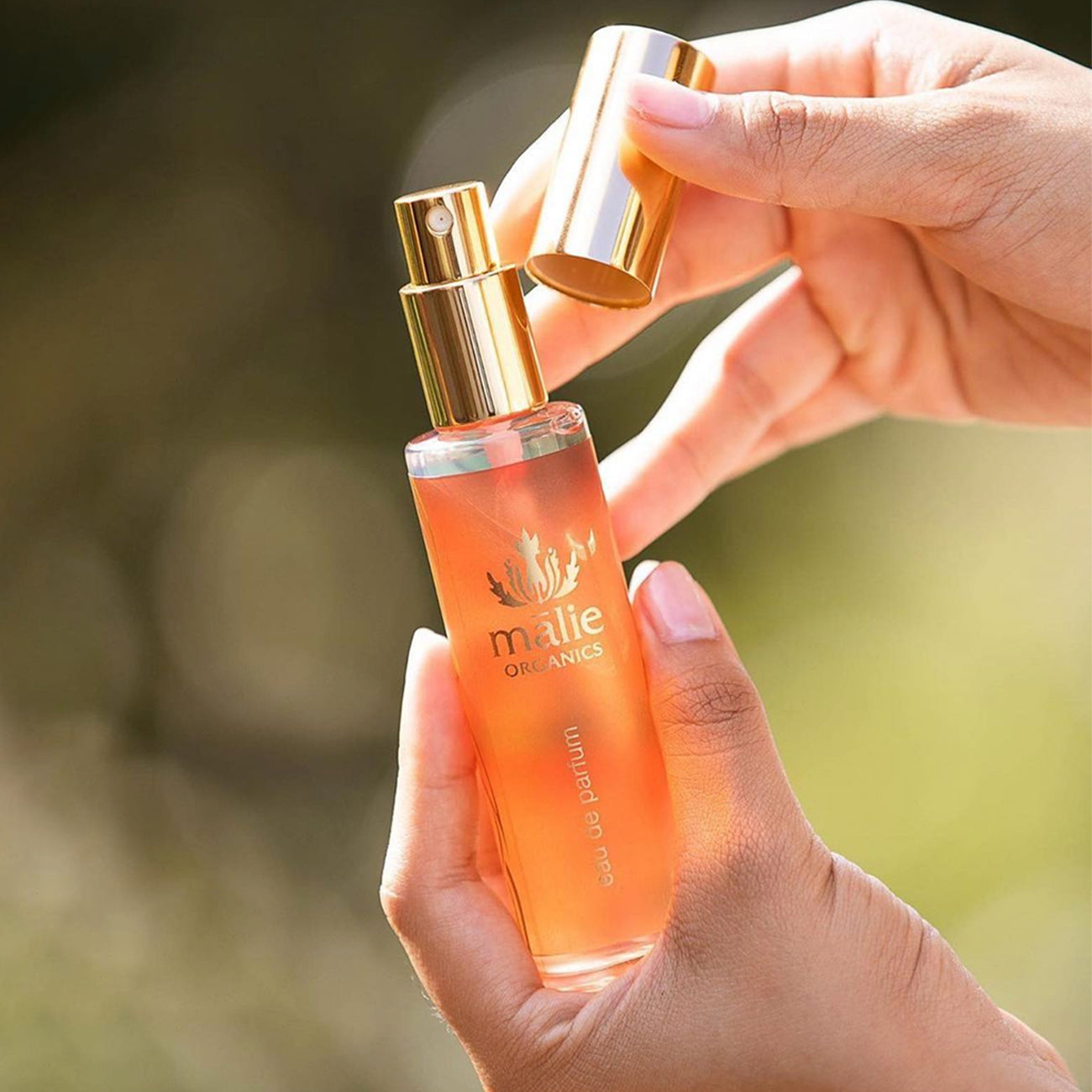 オードパルファン Mango Nectar – Malie Organics