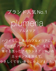 リードディフューザー Plumeria