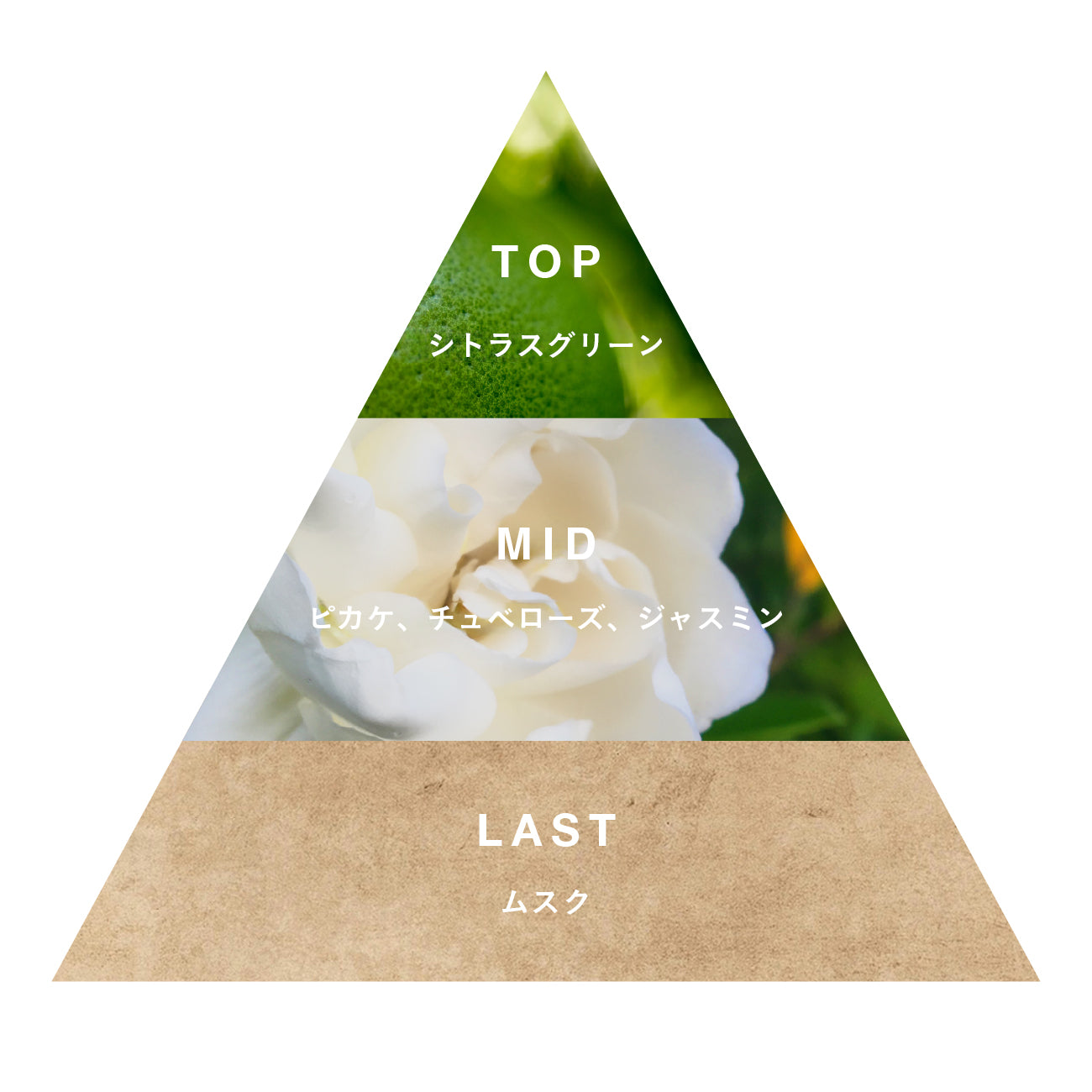 オードパルファン Pikake – Malie Organics