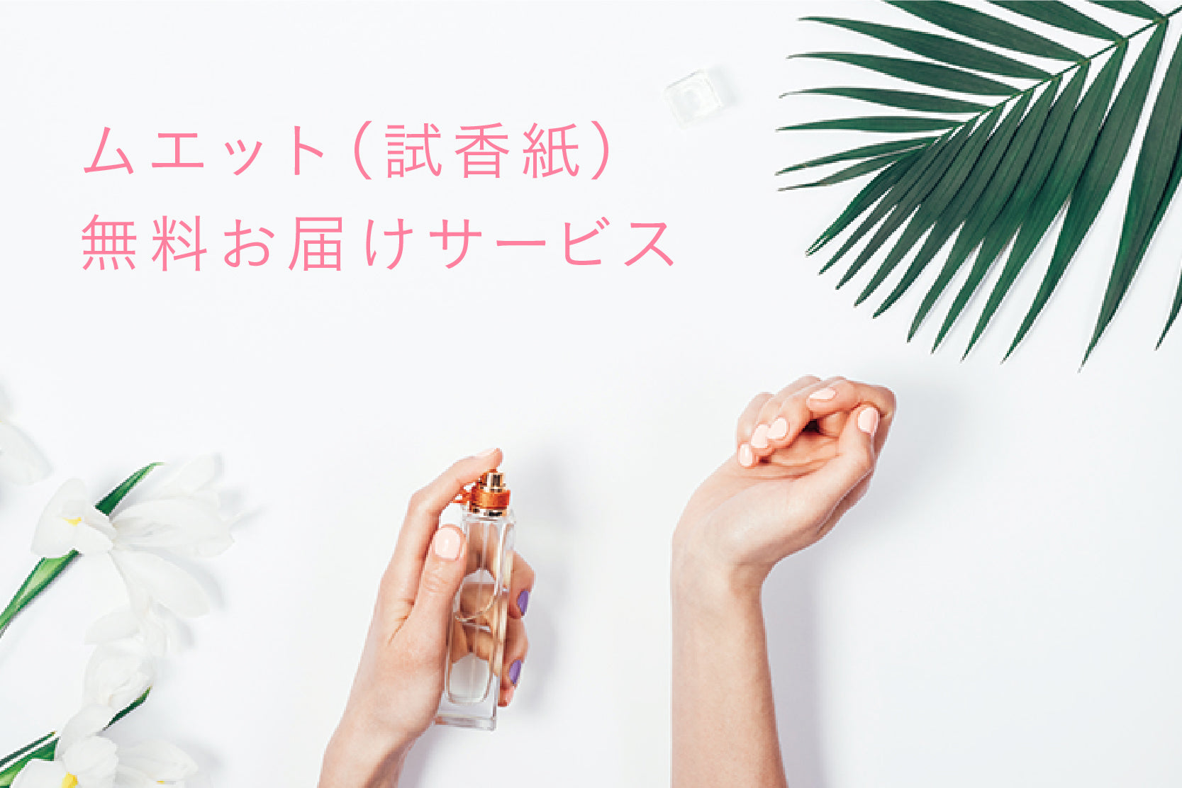 ムエット（試香紙）無料お届けサービス