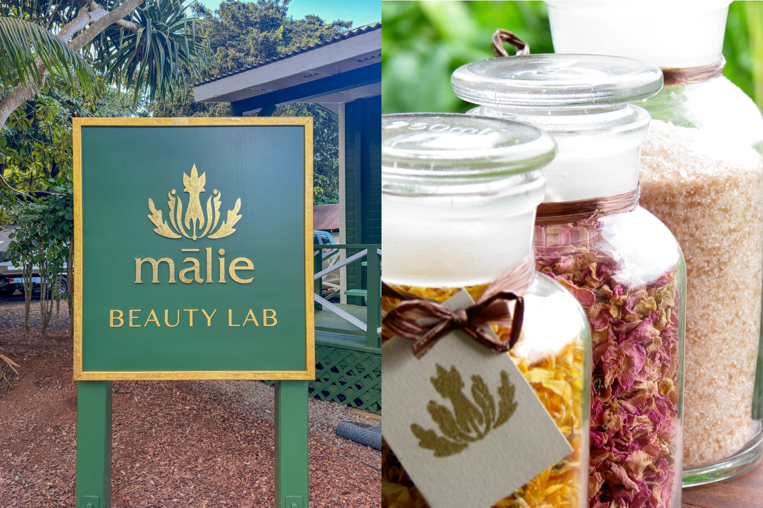 【ハワイ直輸入】マキズジョイ マリエ ディフューザー240ml HOME – Malie Organics