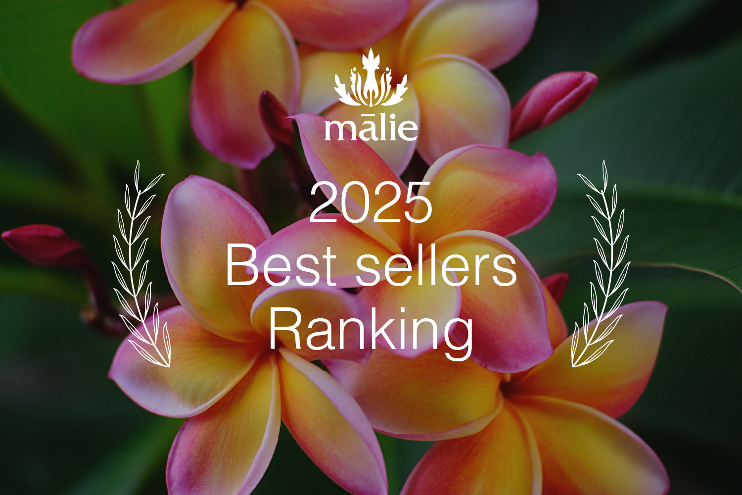 2025年 年間売上ランキング TOP5 – Malie Organics