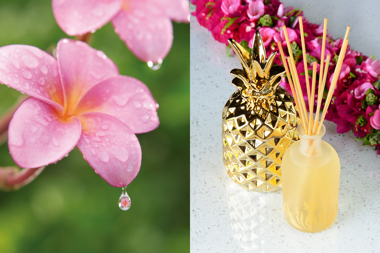 素材と香りへのこだわり。Malie Organicsのルームフレグランス