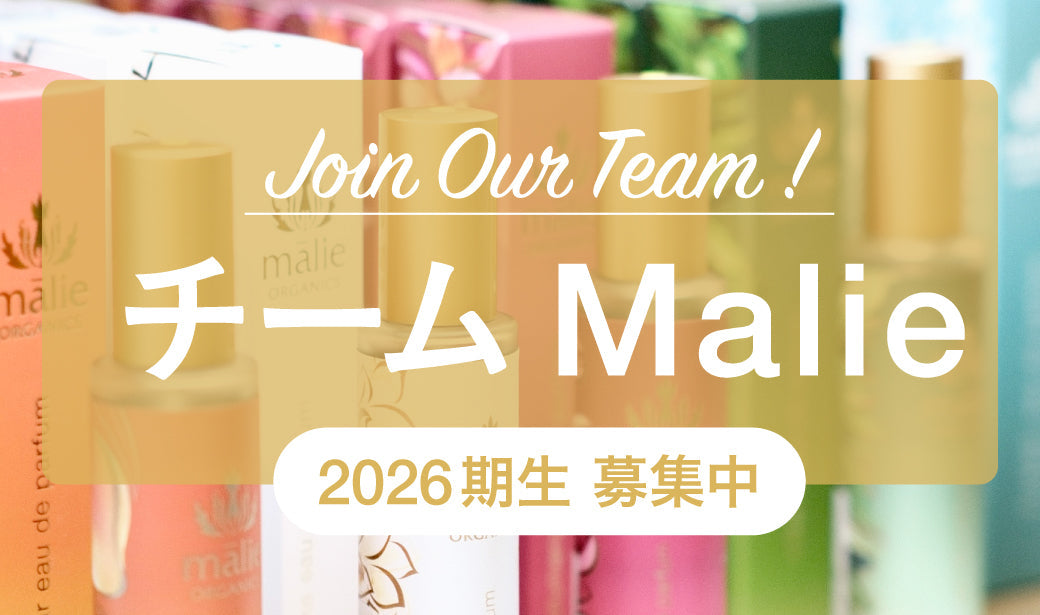 🌺チームMalie 2026期生募集中🌺