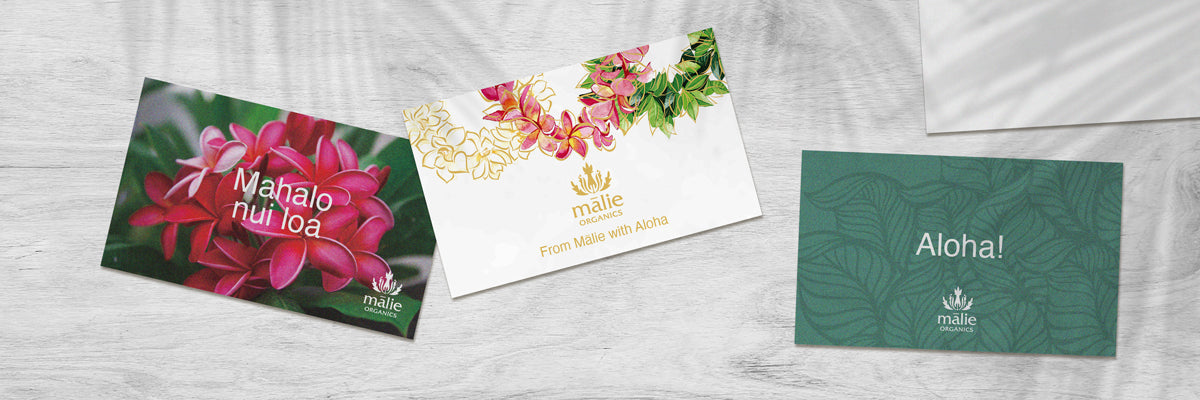 【公式オンラインストア限定】オリジナルメッセージカードのご案内