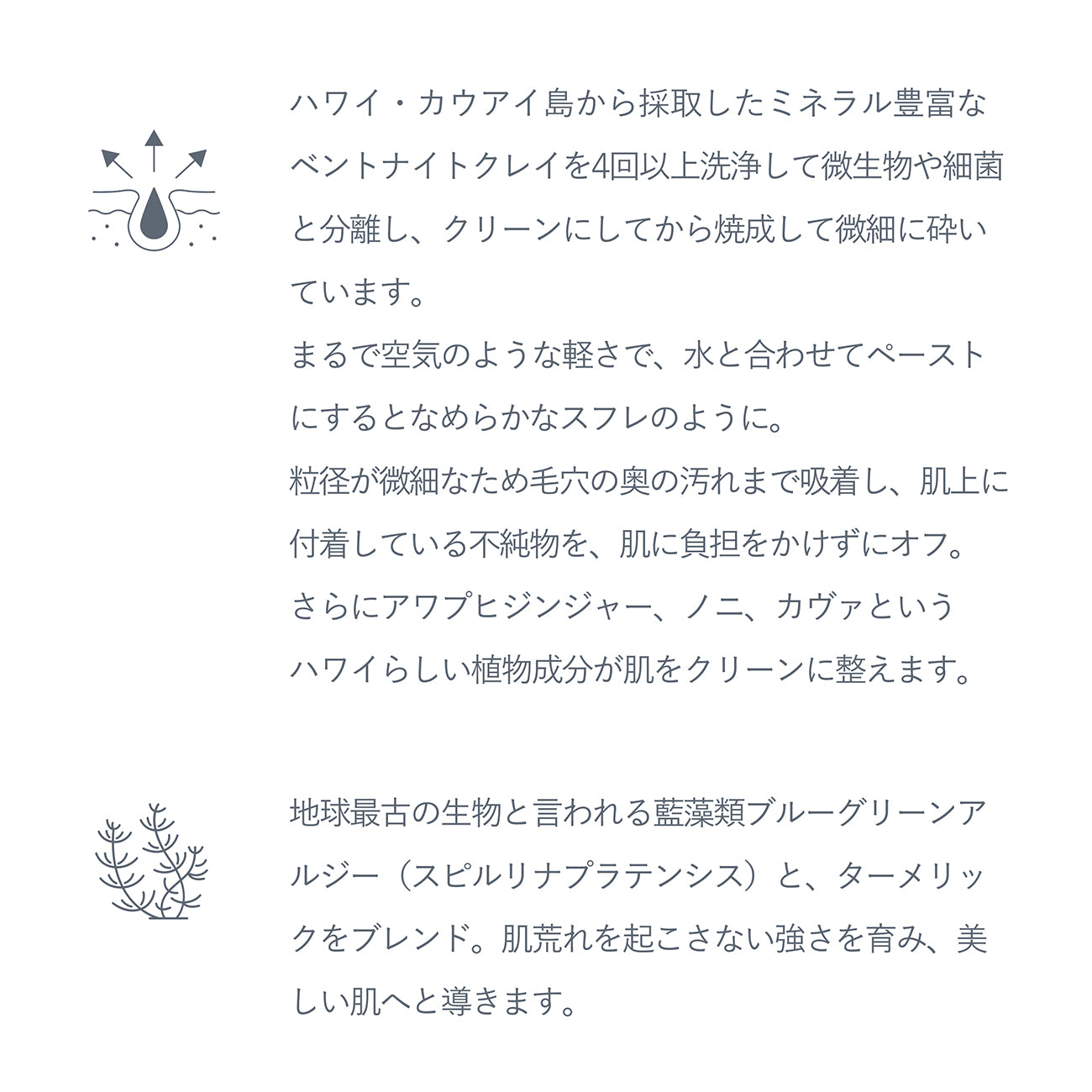 カウアイ クレイマスク – Malie Organics
