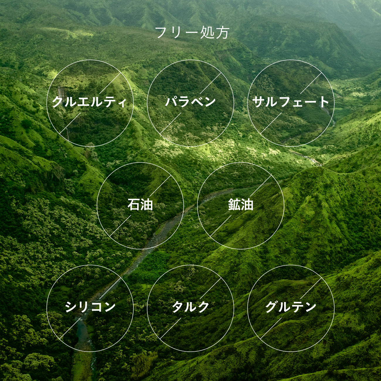 シャンプー Plumeria 414ml