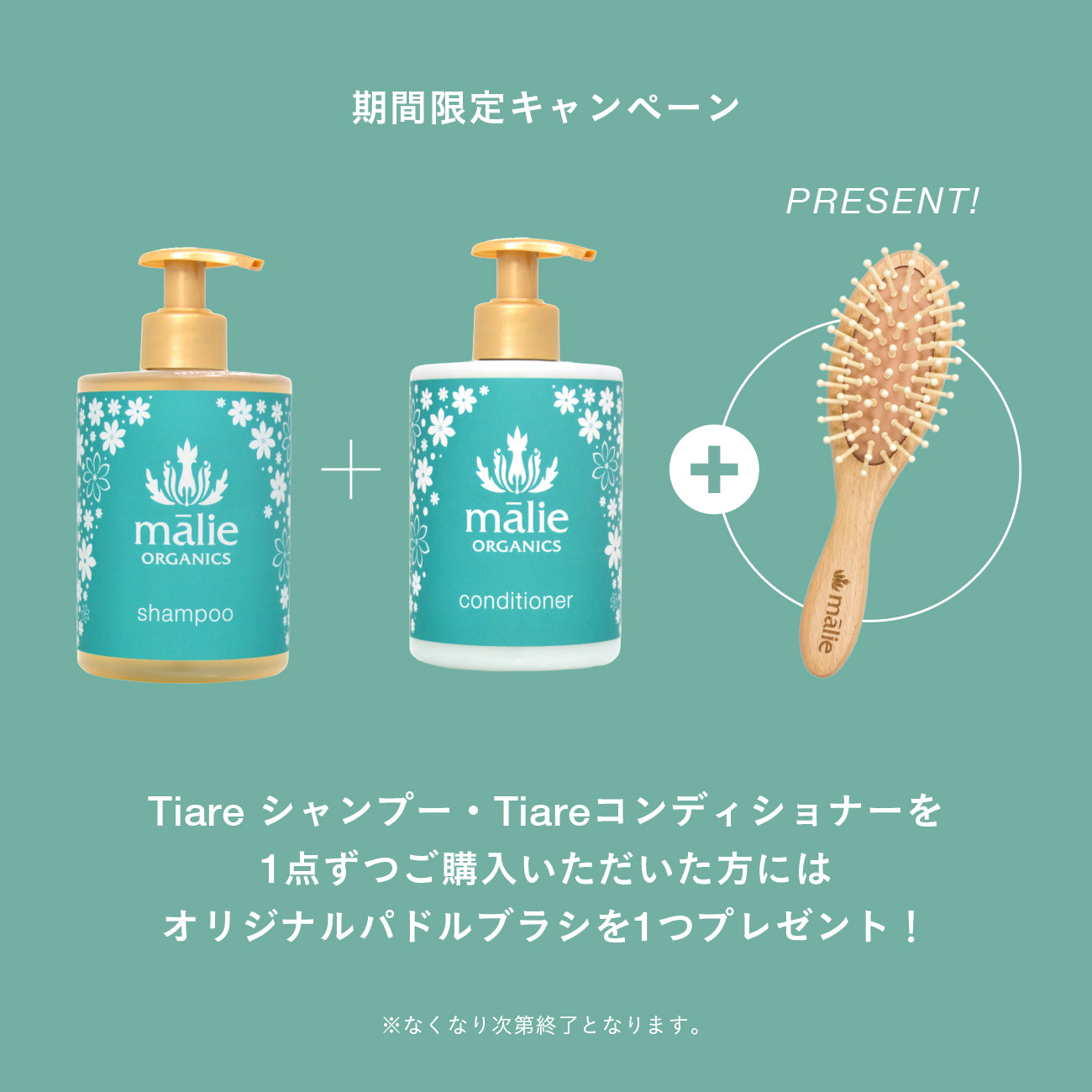 数量限定】シャンプー&コンディショナー セット Tiare – Malie Organics