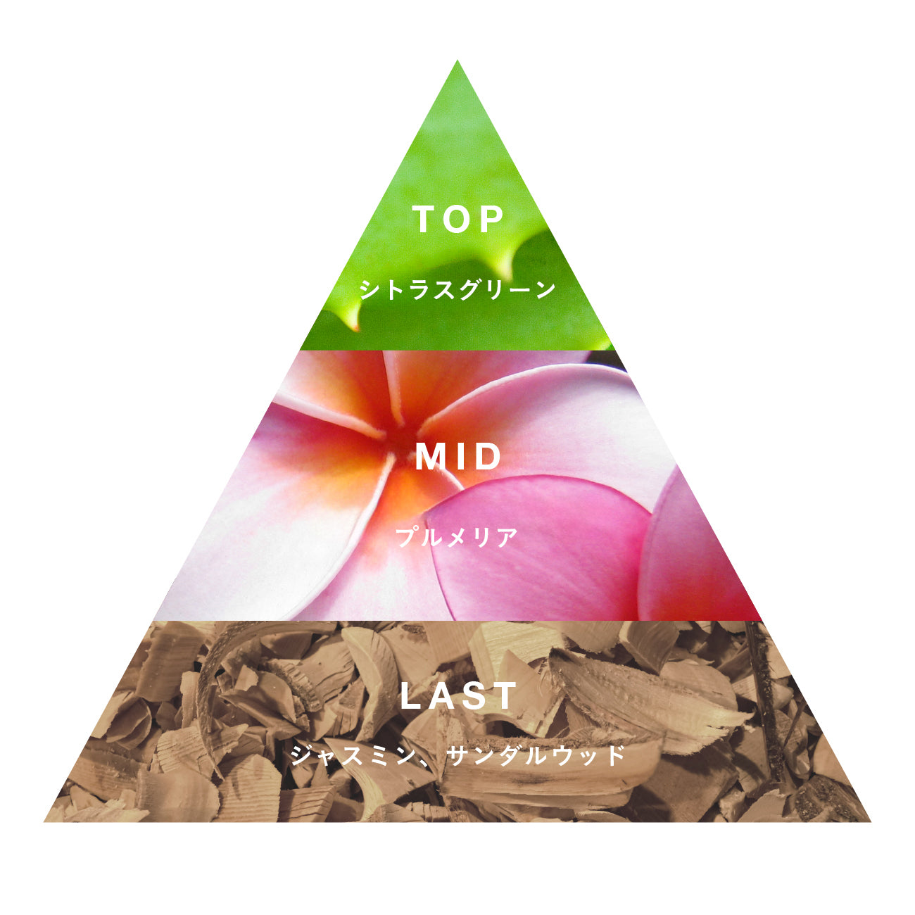 オードパルファン Plumeria – Malie Organics