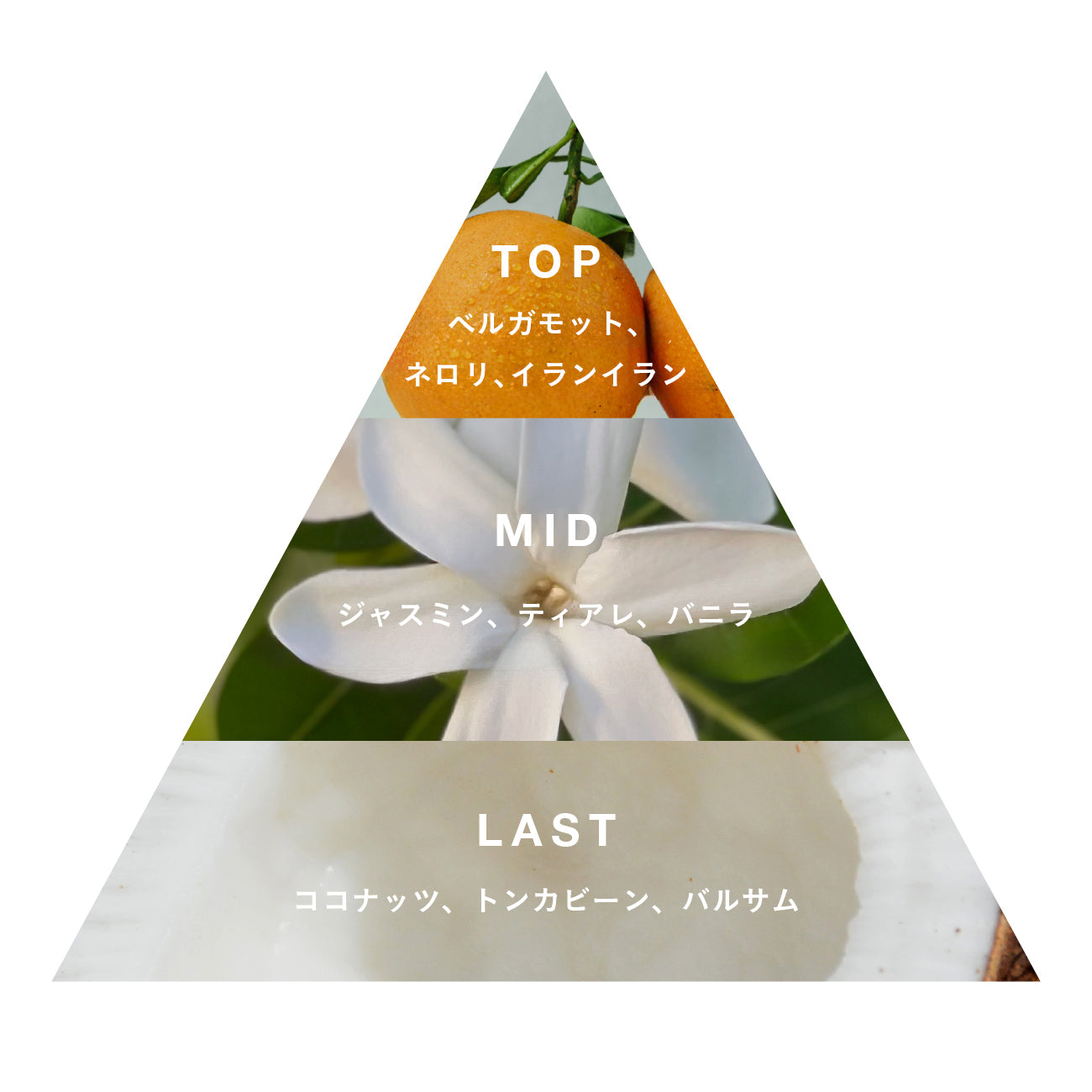 オードパルファン Plumeria – Malie Organics